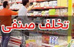 تشکیل ۷۲۶۲ فقره پرونده تخلفاتی صنفی در آذربایجانشرقی/ جریمه ۳۸۹ میلیارد تومان تشکیل ۷۲۶۲ فقره پرونده تخلفاتی صنفی در آذربایجانشرقی/ جریمه ۳۸۹ میلیارد تومان