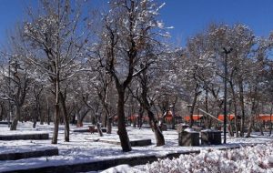 سرما و یخبندان در ۲۴ مرکز استان/ آلودگی هوا در ۳ کلانشهر سرما و یخبندان در ۲۴ مرکز استان/ آلودگی هوا در ۳ کلانشهر