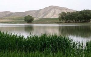 آب انتقالی به تالاب بینالمللی قوریگل کجا میرود؟ آب انتقالی به تالاب بینالمللی قوریگل کجا میرود؟