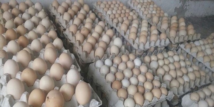 توزیع تخم مرغ به نرخ دولتی در تبریز آغاز شد