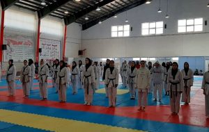 تکواندوکاران نوجوان برتر آذربایجان شرقی معرفی شدند تکواندوکاران نوجوان برتر آذربایجان شرقی معرفی شدند