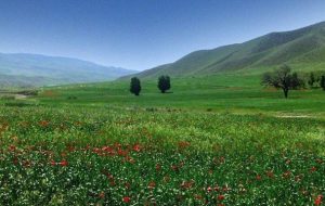 آخرین وضعیت جوی کشور در روزهای پیش‌ِ رو/ شمال گرم‌ می‌شود
