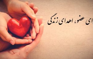 سروان پلیس آگاهی به چند نفر زندگی دوباره بخشید سروان پلیس آگاهی به چند نفر زندگی دوباره بخشید