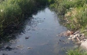 از شایعه تا واقعیت آبیاری زمین‌های کشاورزی تبریز با فاضلاب