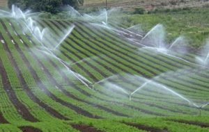 اجرای سیستمهای نوین آبیاری در ۶۳۰۰ هکتار از اراضی حوضه دریاچه ارومیه اجرای سیستمهای نوین آبیاری در ۶۳۰۰ هکتار از اراضی حوضه دریاچه ارومیه