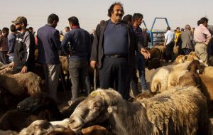 فعالیت ۴ قربانگاه موقت به همراه استقرار اکیپهای سیار ذبح قربانی فعالیت ۴ قربانگاه موقت به همراه استقرار اکیپهای سیار ذبح قربانی