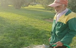 درگذشت سبزبان شهرداری تبریز بر اثر سانحه تصادف درگذشت سبزبان شهرداری تبریز بر اثر سانحه تصادف