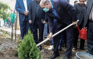 کاشت نهال در مدارس تبریز همزمان با آغاز سال تحصیلی جدید کاشت نهال در مدارس تبریز همزمان با آغاز سال تحصیلی جدید