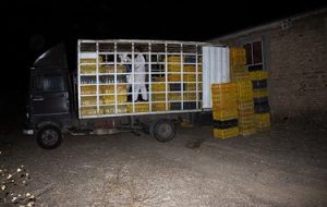 کشتارگاه صنعتی مرغ و طیور در «مَرند» کشتارگاه صنعتی مرغ و طیور در «مَرند»