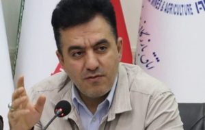 شهردار تبریز: درخت مصنوعی در تبریز رونمایی میشود/ اکسیژنی به اندازه ۷۵۰ درخت شهردار تبریز: درخت مصنوعی در تبریز رونمایی میشود/ اکسیژنی به اندازه ۷۵۰ درخت