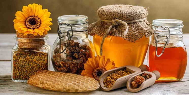 تولید ۱۵۶۷۶ تن عسل در آذربایجان‌شرقی/ ۱٫۱ میلیون کلنی زنبور عسل مدرن