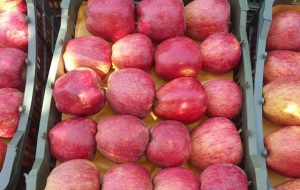 صادرات ۵۵۰ هزار تن سیب در ۱۱ ماه گذشته/ ایران رتبه چهارم جهانی تولید سیب را دارد صادرات ۵۵۰ هزار تن سیب در ۱۱ ماه گذشته/ ایران رتبه چهارم جهانی تولید سیب را دارد