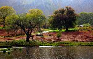 جزئیات توزیع بارشها در کشور/ متوسط بارشهای سال زراعی جاری ۱۵۸ میلیمتر جزئیات توزیع بارشها در کشور/ متوسط بارشهای سال زراعی جاری ۱۵۸ میلیمتر