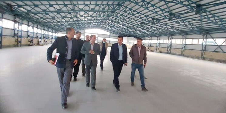 تعادل قیمت در محصولات کشاورزی با راه‌اندازی بازارچه‌های محلی