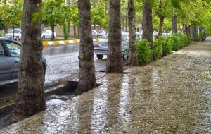 جزئیات توزیع بارش ها در شهرهای مختلف/ وزش باد شدید در برخی نقاط کشور جزئیات توزیع بارش ها در شهرهای مختلف/ وزش باد شدید در برخی نقاط کشور