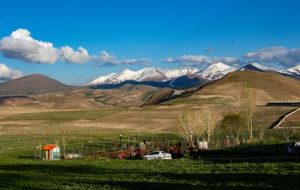 مزرعه گل‌های لاله در روستای اسپره‌خون تبریز