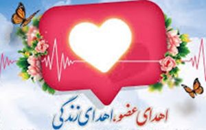 ۳ هدیه حیات بخش یک مراغهای ۳ هدیه حیات بخش یک مراغهای