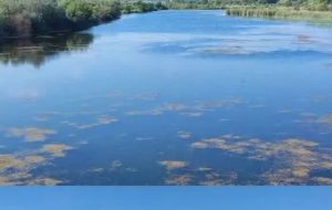 پایش آنفلوآنزای حاد پرندگان در حاشیه رودخانه ارس پایش آنفلوآنزای حاد پرندگان در حاشیه رودخانه ارس