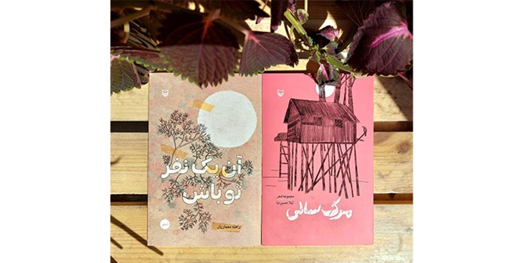 ۲ مجموعه شعر از انتشارات سوره مهر به کتابفروشیها رسید ۲ مجموعه شعر از انتشارات سوره مهر به کتابفروشیها رسید