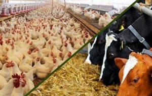تجارت قراردادی در آذربایجانشرقی عملیاتی میشود تجارت قراردادی در آذربایجانشرقی عملیاتی میشود