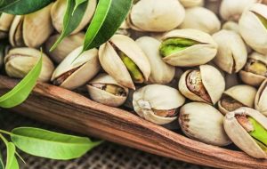 ارزآوری بیش از یک میلیارد دلاری محصول پسته برای کشور