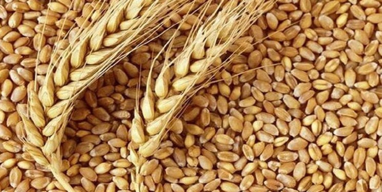 خودکفایی کشور در تأمین آرد خبازی، هدفگذاری برای تأمین ۱۴ میلیون تن گندم خودکفایی کشور در تأمین آرد خبازی، هدفگذاری برای تأمین ۱۴ میلیون تن گندم
