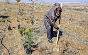 صدور حکم متهمان قطع اشجار جنگلی به غرس ۴۰۰ اصله درخت در شهرستان کلیبر صدور حکم متهمان قطع اشجار جنگلی به غرس ۴۰۰ اصله درخت در شهرستان کلیبر
