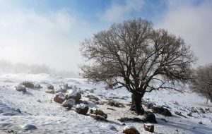 اختلاف دمای ۳۸ درجهای دو نقطه کشور اختلاف دمای ۳۸ درجهای دو نقطه کشور
