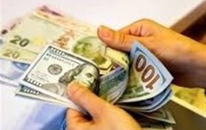 کشف 210000 دلار ارز قاچاق توسط پلیس فرودگاه