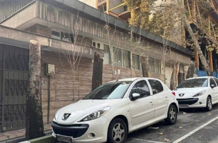 ورود دادستانی به موضوع قطع چند درخت در خیابان فرشته تهران