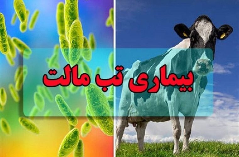 هشدار درباره افزایش ابتلا به تب مالت در کشور هشدار درباره افزایش ابتلا به تب مالت در کشور