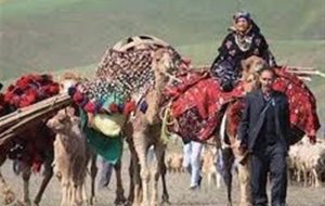 جاده چالوس به دلیل کوچ فصلی عشایر یک روز بسته می شود