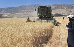ارتقای بهرهوری آب؛ راهکار عبور از چالش امنیت غذایی در شرایط کمآبی – پایگاه خبری تبریز یازار | اخبار ایران و جهان ارتقای بهرهوری آب؛ راهکار عبور از چالش امنیت غذایی در شرایط کمآبی – پایگاه خبری تبریز یازار | اخبار ایران و جهان